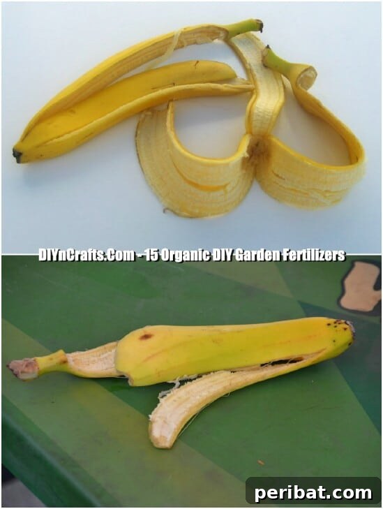 Transform Your Garden with Homemade Organic Fertilizers 5 Banana Peel Fertilizer