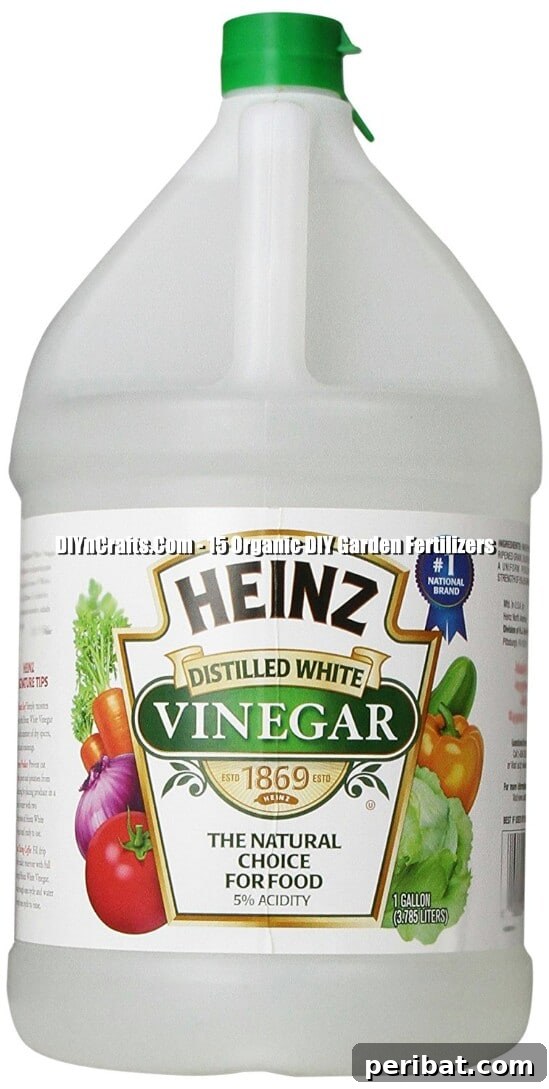 Transform Your Garden with Homemade Organic Fertilizers 7 Vinegar Fertilizer