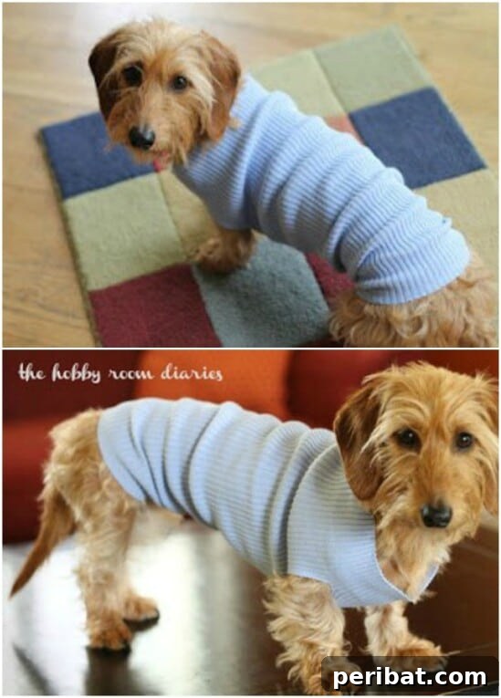 Sweater Salvation: Crafting New Life from Old Knits 16 Easy Small Dog Sweater - 50 Amazingly Creative Upcycling Projects For Old Sweaters