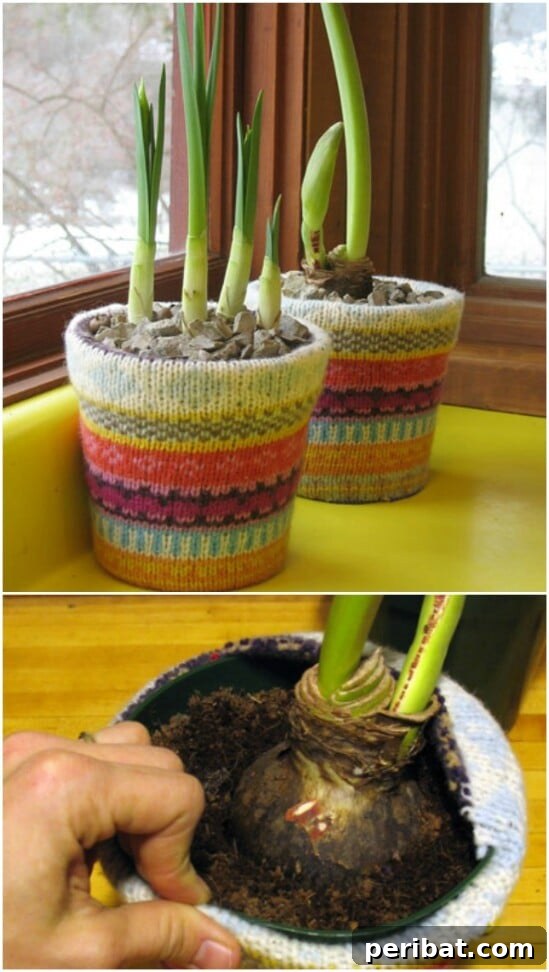 Sweater Salvation: Crafting New Life from Old Knits 31 Sweater Covered Planter - 50 Amazingly Creative Upcycling Projects For Old Sweaters