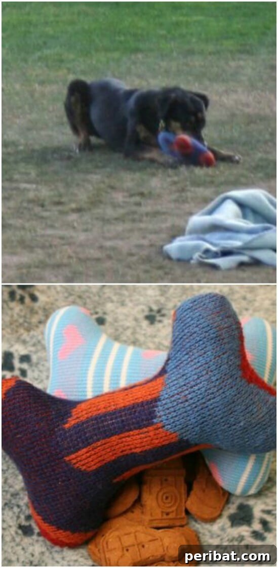 Sweater Salvation: Crafting New Life from Old Knits 36 DIY Dog Toy From Old Sweater - 50 Amazingly Creative Upcycling Projects For Old Sweaters