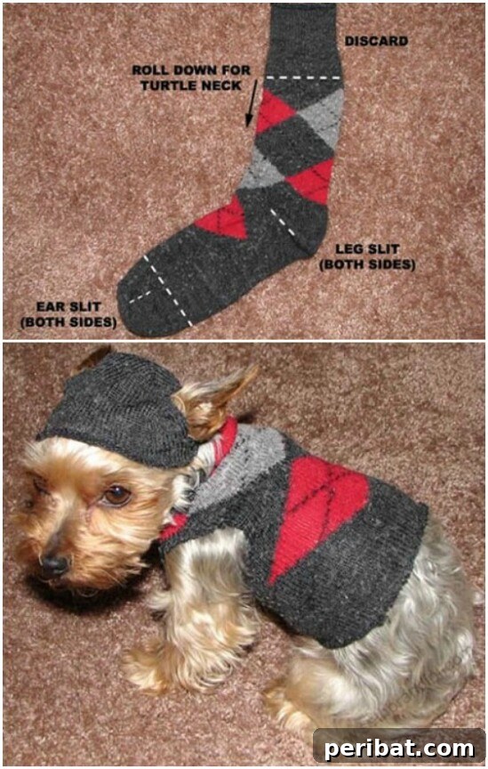 Warm and adorable DIY sweater for tiny dogs, fashioned from a repurposed sock.