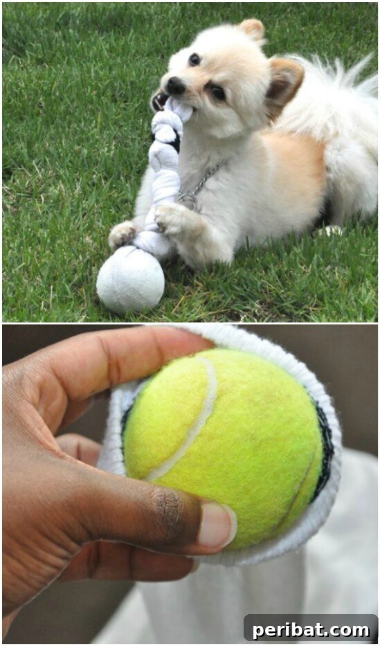Handmade dog chew toy crafted from an old sock and a tennis ball, for playful pups.