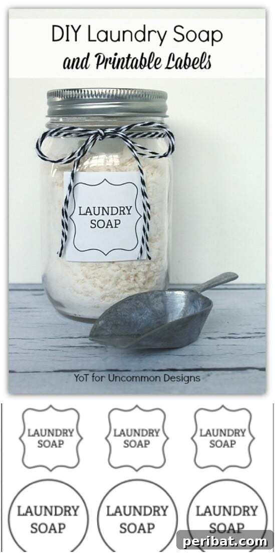 Homemade Laundry Soap Storage - 30 Mind Blowing DIY Mason Jar Organizers You’ll Want To Make Right Away