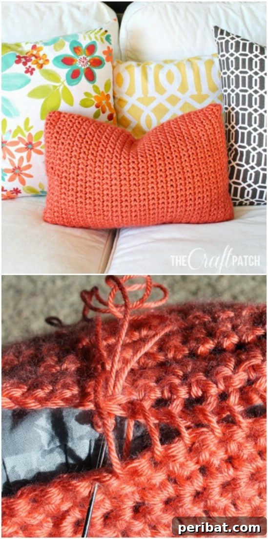 Easy Crochet 120 Free Patterns for Beginners 65 Easy Crochet Throw Pillow