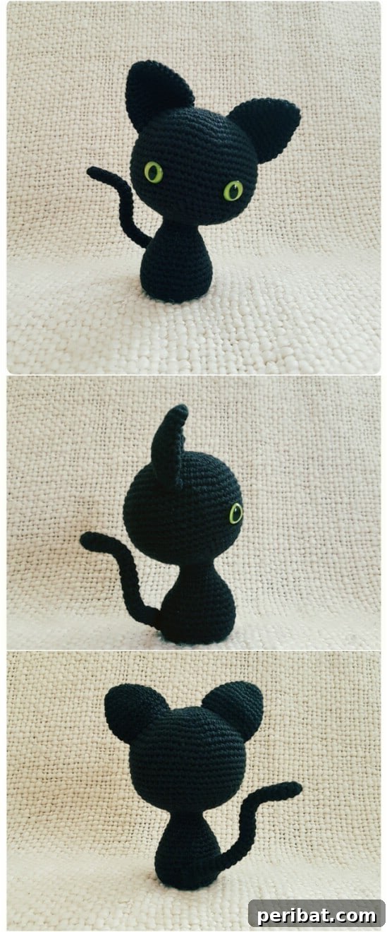 Easy Crochet 120 Free Patterns for Beginners 96 Easy Crocheted Black Cat