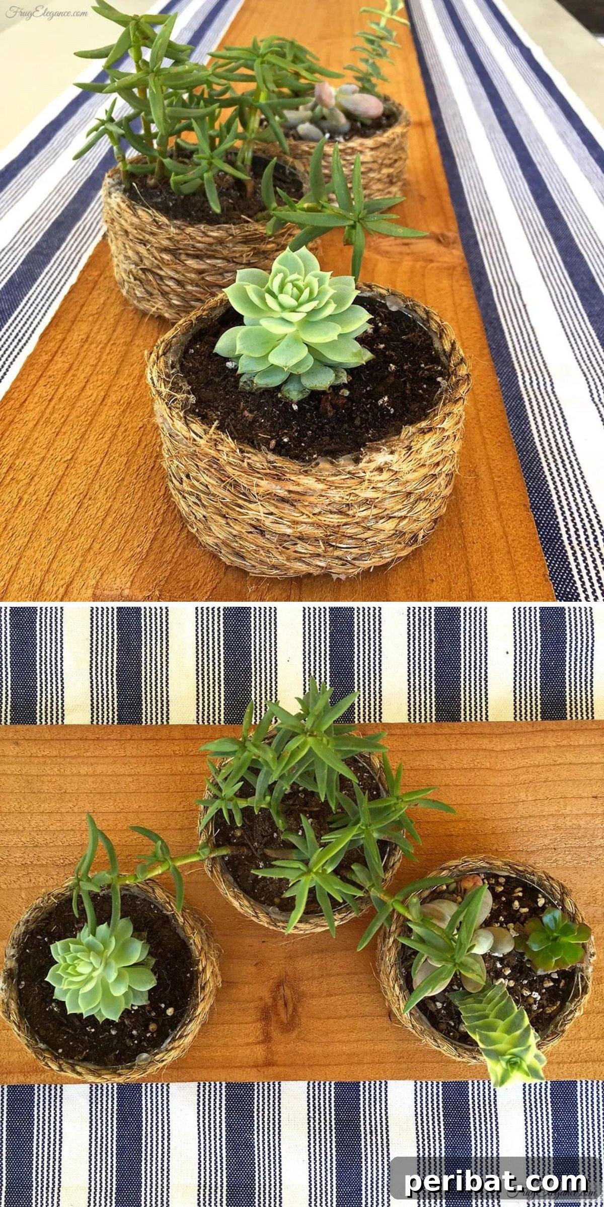 Rope Wrapped Succulent Planters