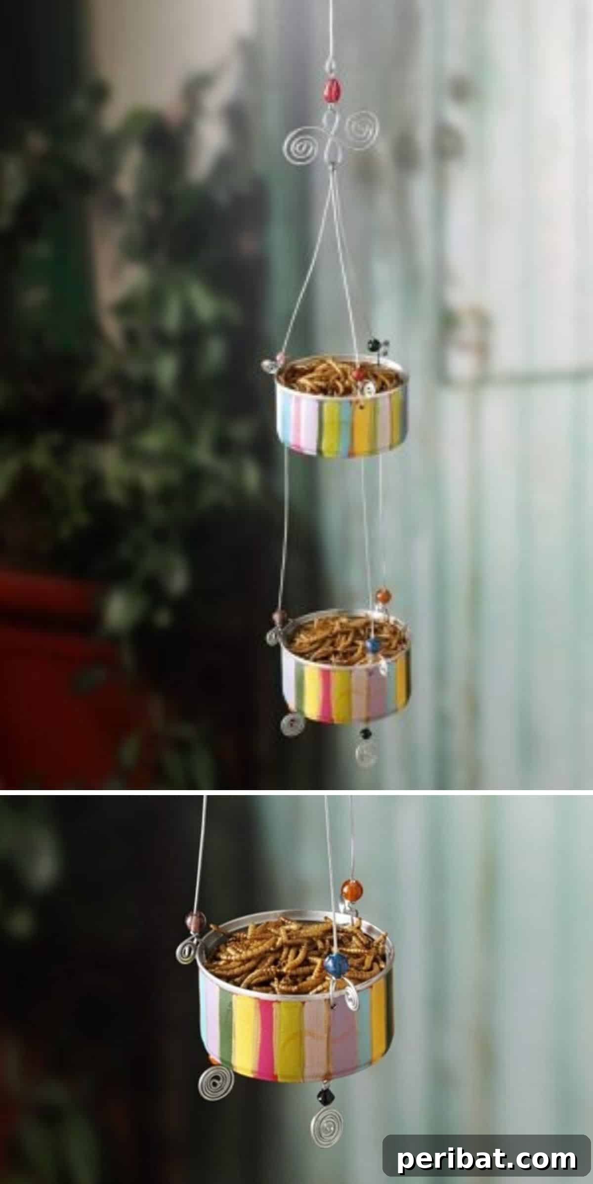 Colorful Bird Feeders