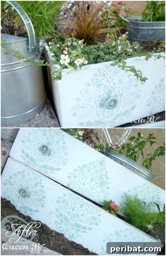 Drawer Planters