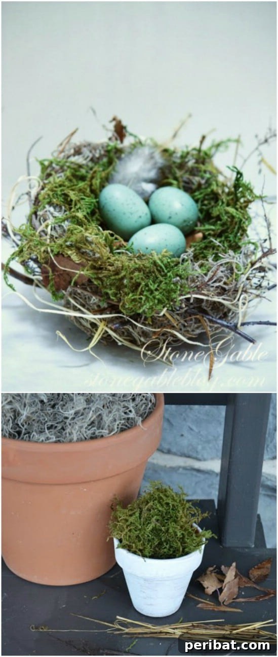 Bird Nest Decor