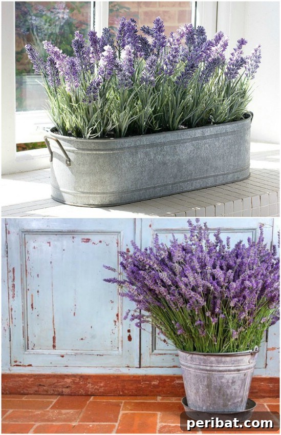 Lavender Tub