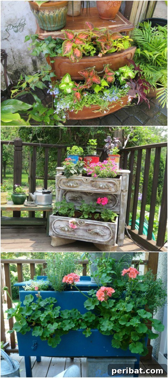 Mirrored Dresser Succulent Planter