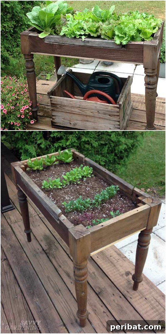 Old Coffee Table Planter