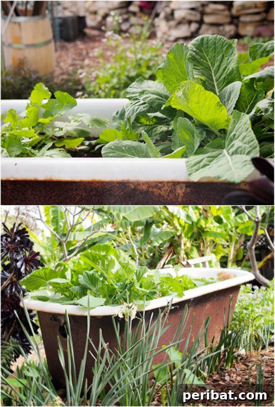 Bathtub Planter