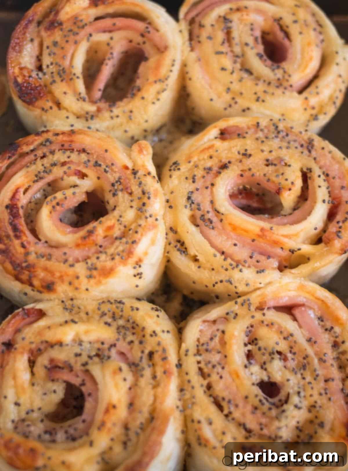 Baked Ham and Cheese Roll Ups Reimagined 8 Finished recipe.
