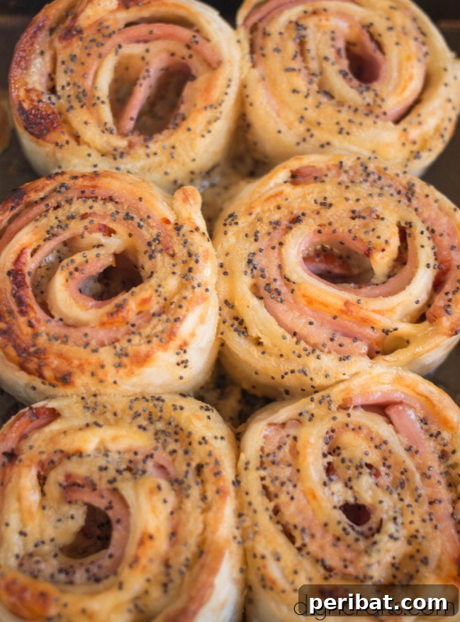 Baked Ham and Cheese Roll Ups Reimagined 10 Baked Ham and Cheese Roll-ups – A New Take on an Old Favorite