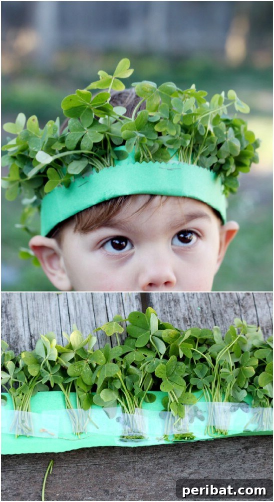 Lucky Crown Of Clover