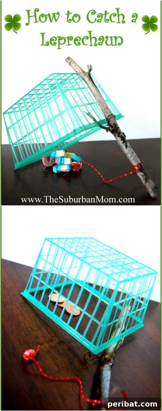 How To Catch A Leprechaun