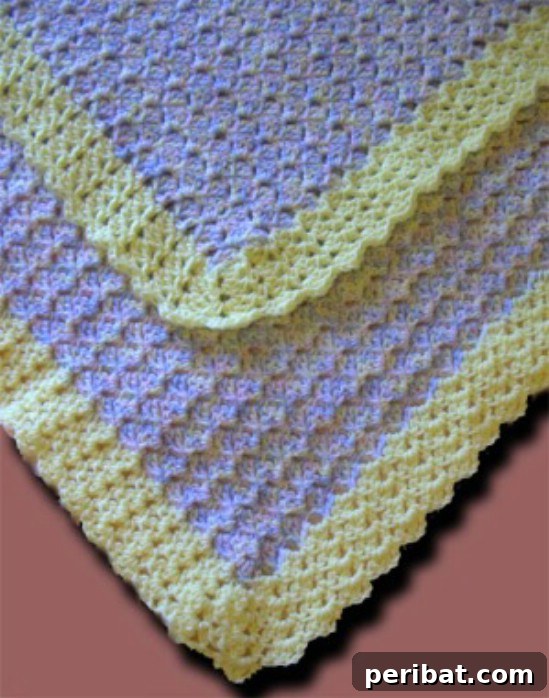 28 Fast and Fun Crochet Blankets Beginner Patterns 24 Sideways Shell Blanket