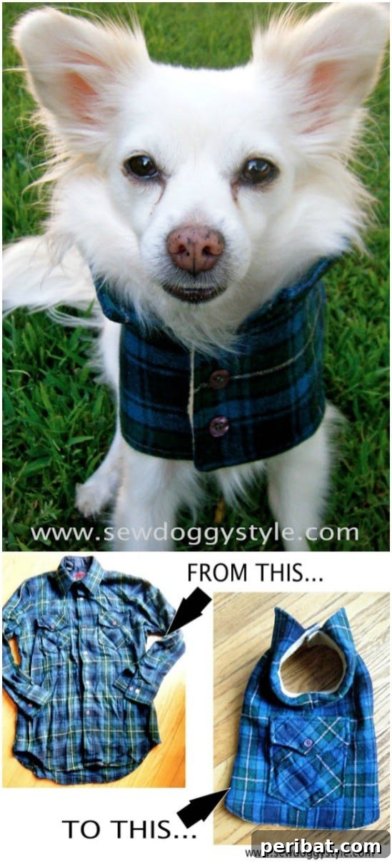 25 Genius Flannel Upcycling Ideas You Need to Try 5 DIY Flannel Dog Coat