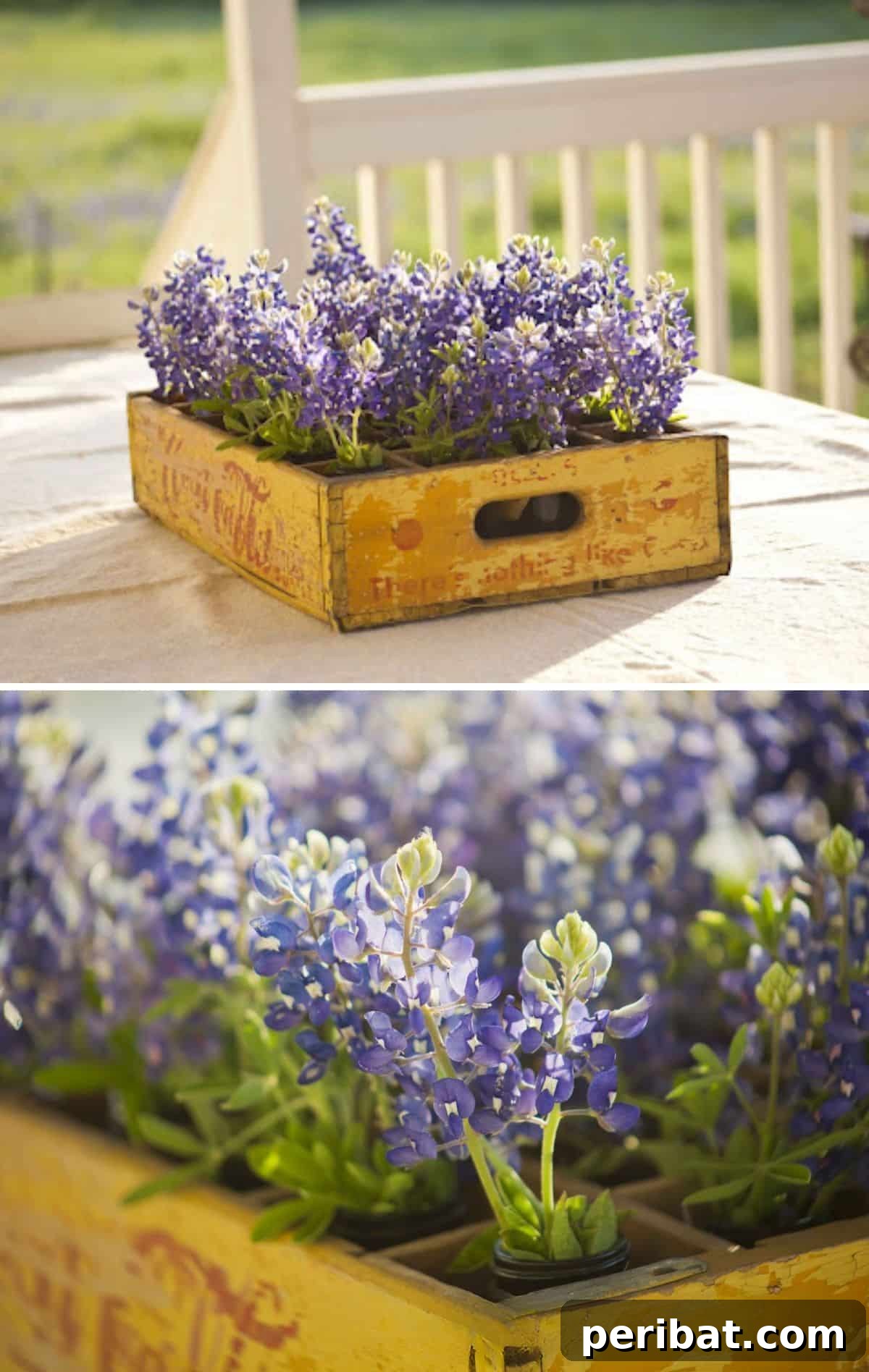 Flower Planters