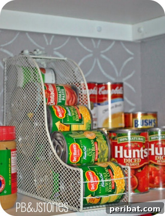 Simplify Your Space: 25 Must-Try Organization Tips 13 Pantry can organizers from magazine files
