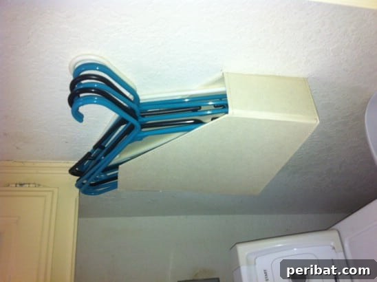 Simplify Your Space: 25 Must-Try Organization Tips 27 Magazine holders for laundry hanger storage