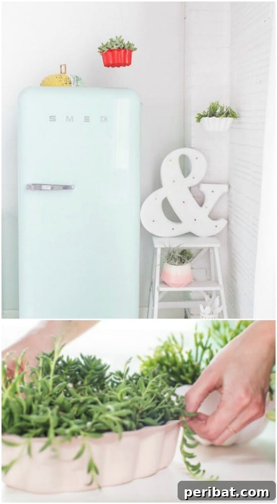 DIY Hanging Bundt Pan Planters