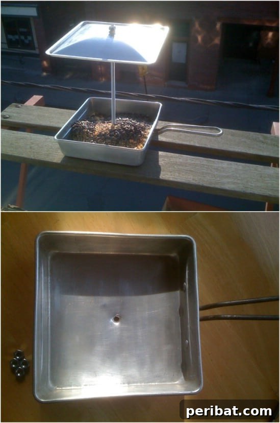 Frying Pan Bird Feeder
