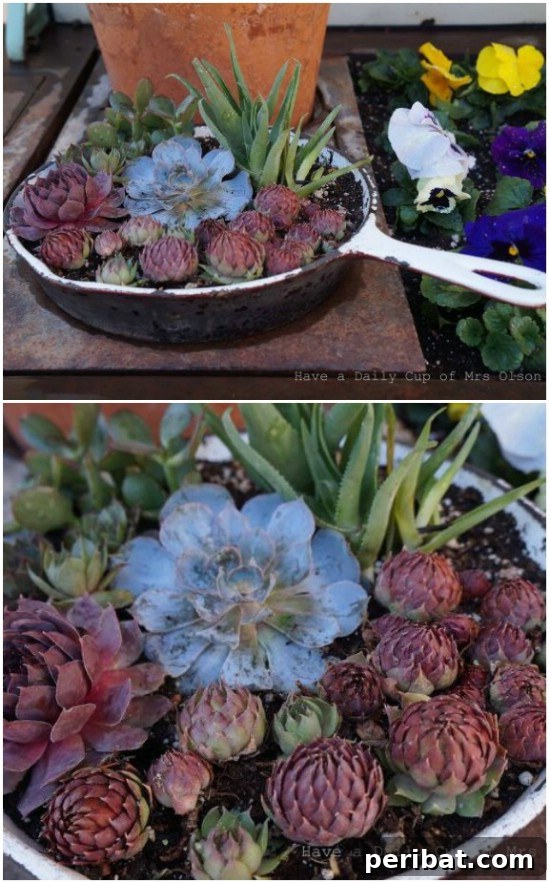 Repurposed Pots And Pans Into Succulent Planters