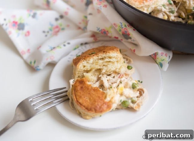 Cast Iron Skillet Chicken Pot Pie Recipe
