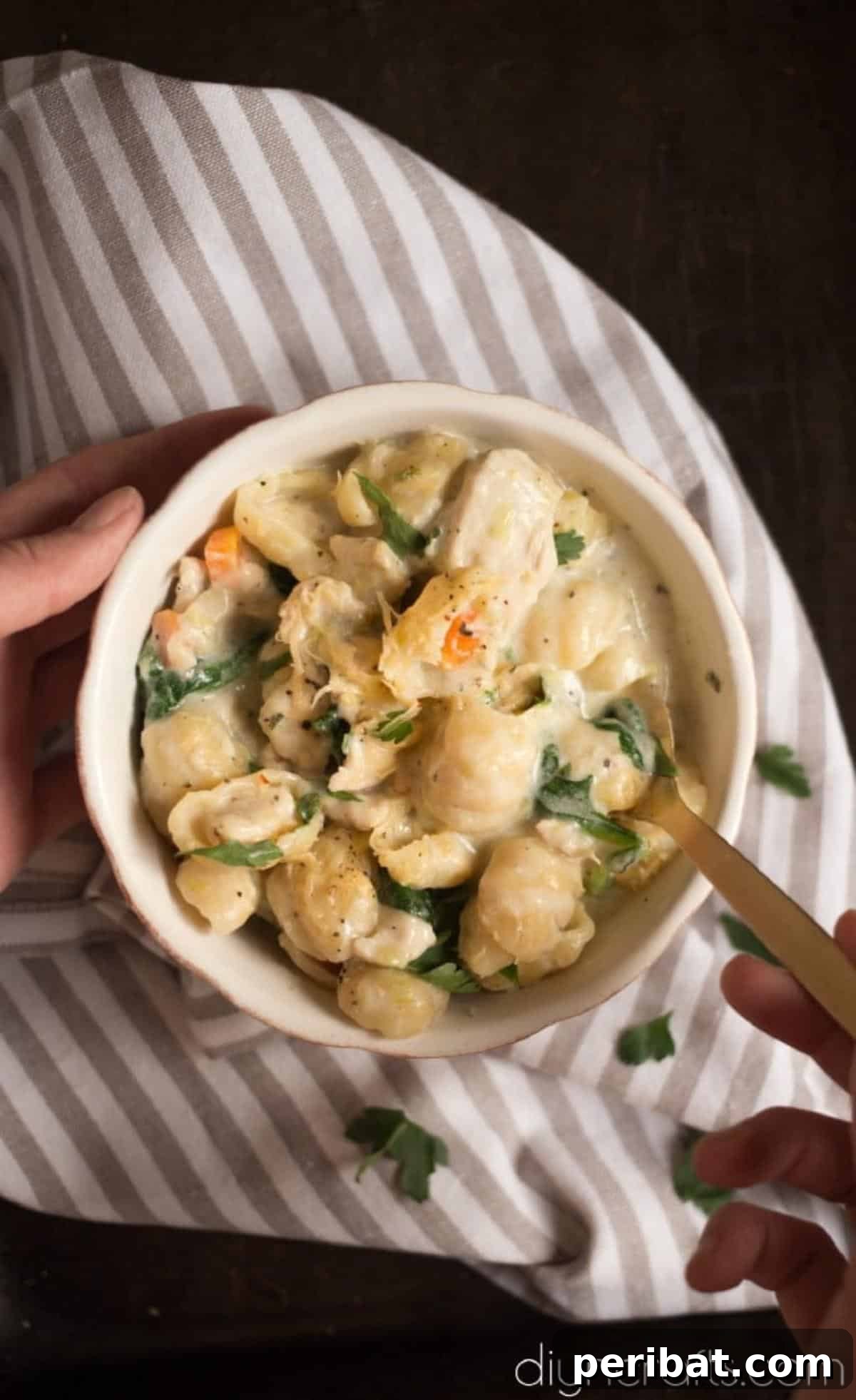 A bowl of creamy homemade Chicken Gnocchi Soup, garnished with parsley, ready to be served.