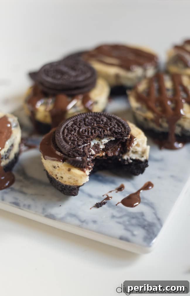 Be The Hit Of Every Party With These Oreo Cheesecake Bites