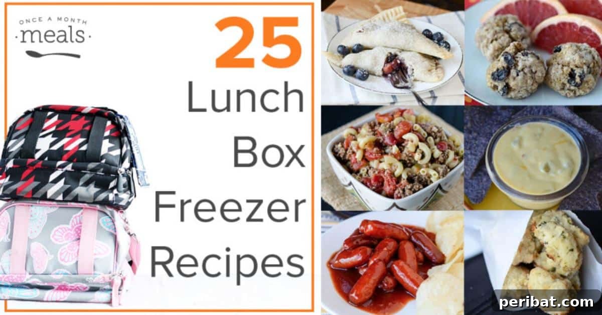 Freezer Meal Mastery: 200+ Easy Recipes to Save Time and Money 4 25 Creative Lunch Box Freezer Recipes for convenient and healthy meals.