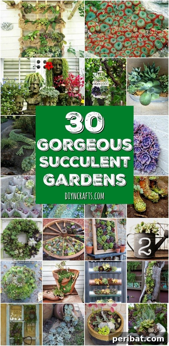 Effortless Backyard Beauty: 30 DIY Succulent Garden Inspirations 2 Captivating Backyard Succulent Gardens You Can Easily DIY