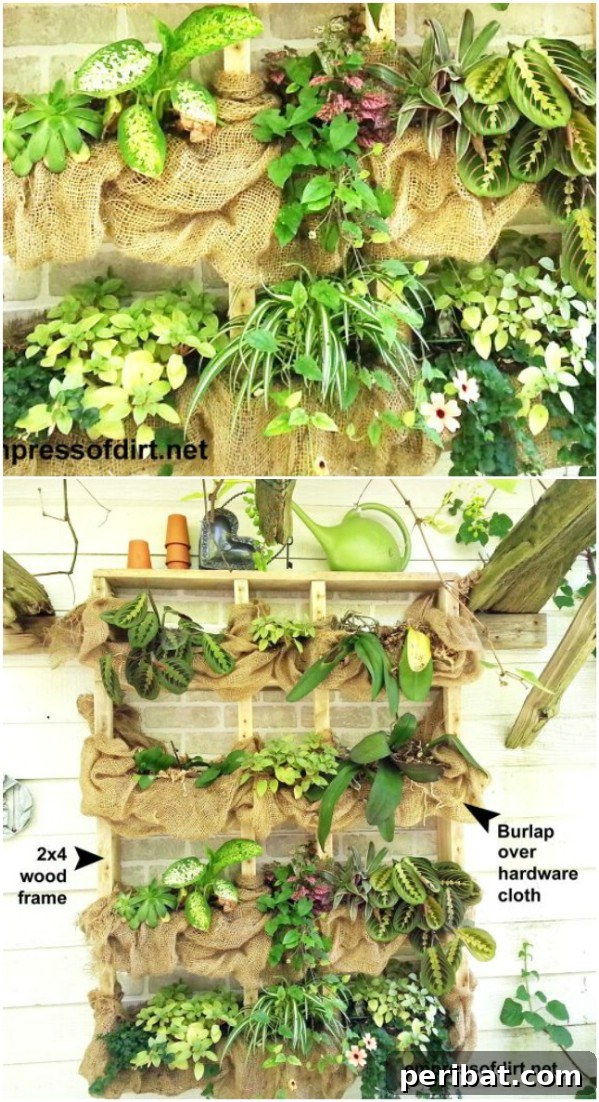 Effortless Backyard Beauty: 30 DIY Succulent Garden Inspirations 12 Outdoor Succulent Plant Shelf