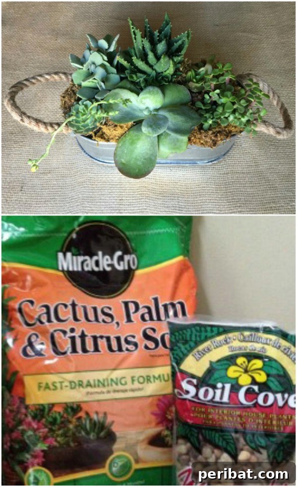 Effortless Backyard Beauty: 30 DIY Succulent Garden Inspirations 14 Succulent Dish Garden