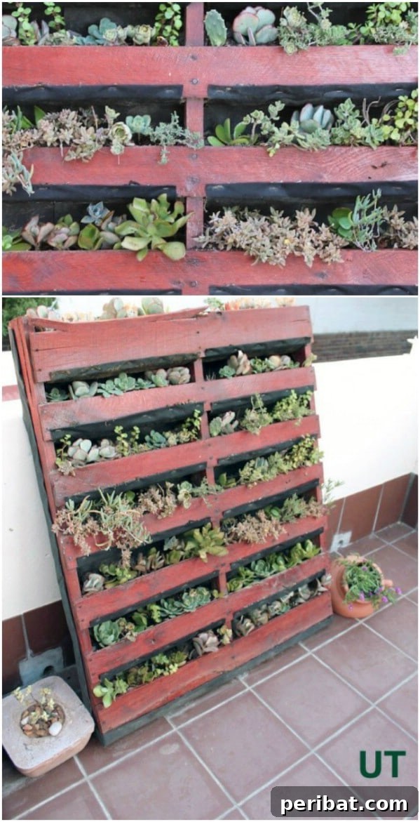 Effortless Backyard Beauty: 30 DIY Succulent Garden Inspirations 15 Rack Against The Wall Pallet Planter
