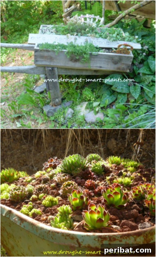 Effortless Backyard Beauty: 30 DIY Succulent Garden Inspirations 5 Wheelbarrow Succulent Garden
