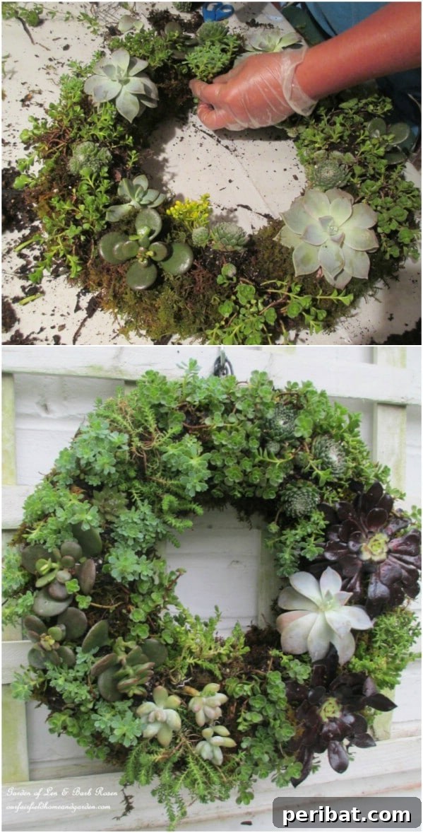 Effortless Backyard Beauty: 30 DIY Succulent Garden Inspirations 8 Succulent Wreath