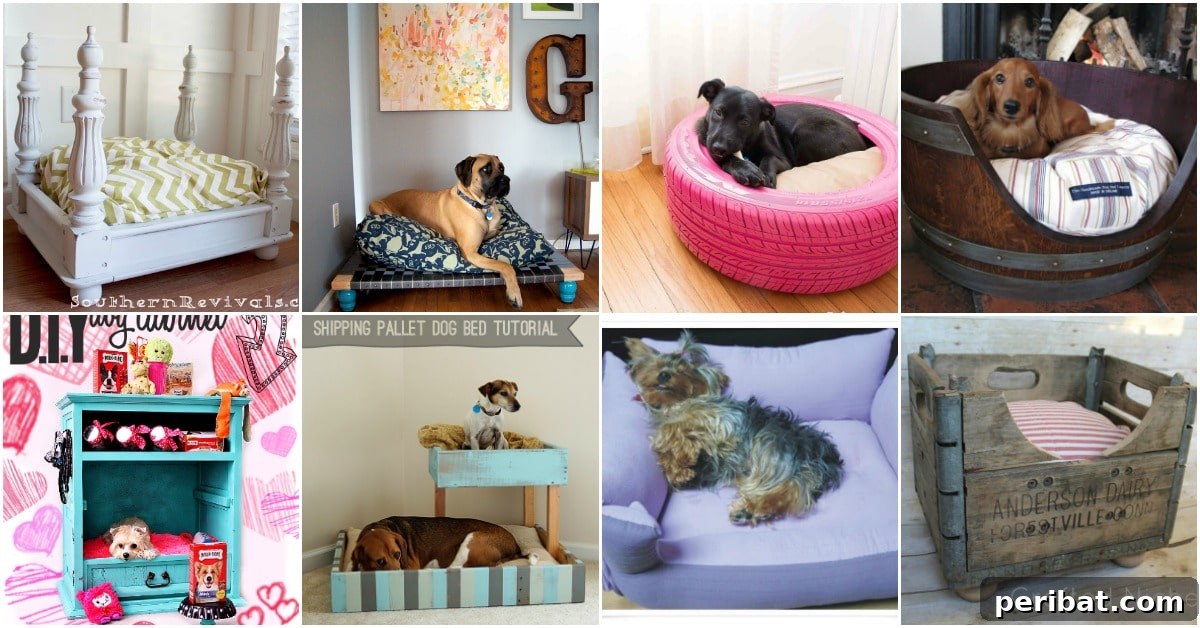 Pawsome Projects: DIY Dog Beds & Crates Your Pup Will Adore 2 dog beds diy
