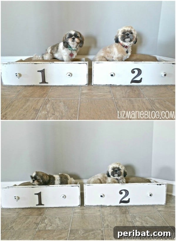 Pawsome Projects: DIY Dog Beds & Crates Your Pup Will Adore 17 Upcycled Drawer Bed