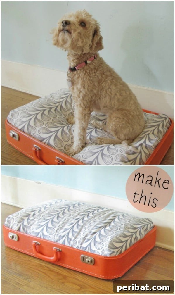 Pawsome Projects: DIY Dog Beds & Crates Your Pup Will Adore 19 Vintage Suitcase Dog Bed