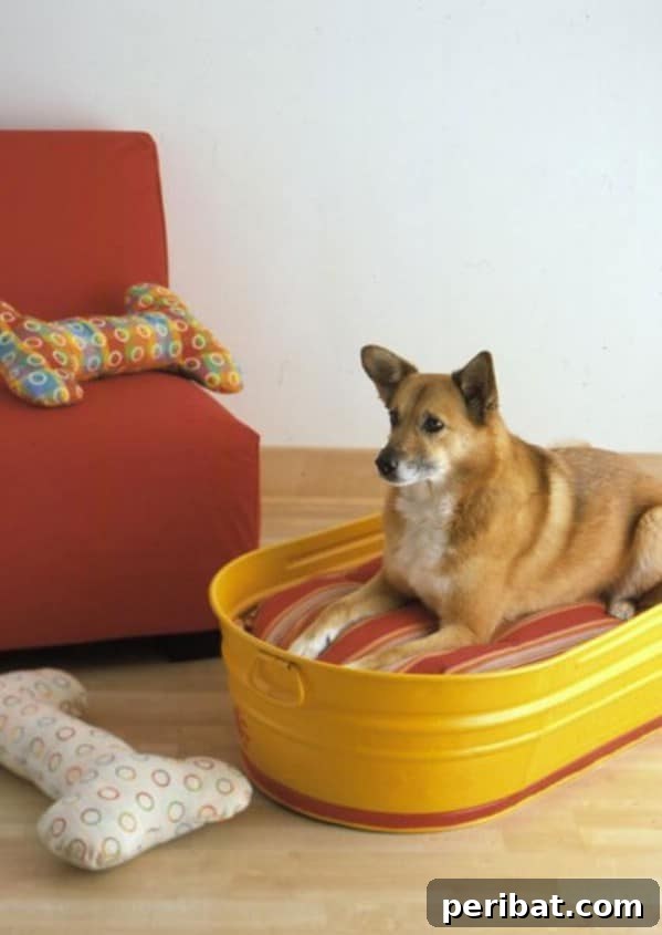 Pawsome Projects: DIY Dog Beds & Crates Your Pup Will Adore 21 Galvanized Tub Bed