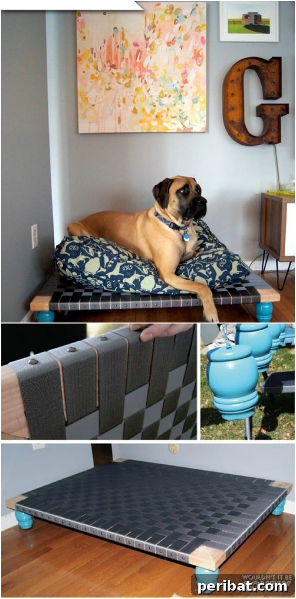 Pawsome Projects: DIY Dog Beds & Crates Your Pup Will Adore 5 Raised Bed For Large Breeds