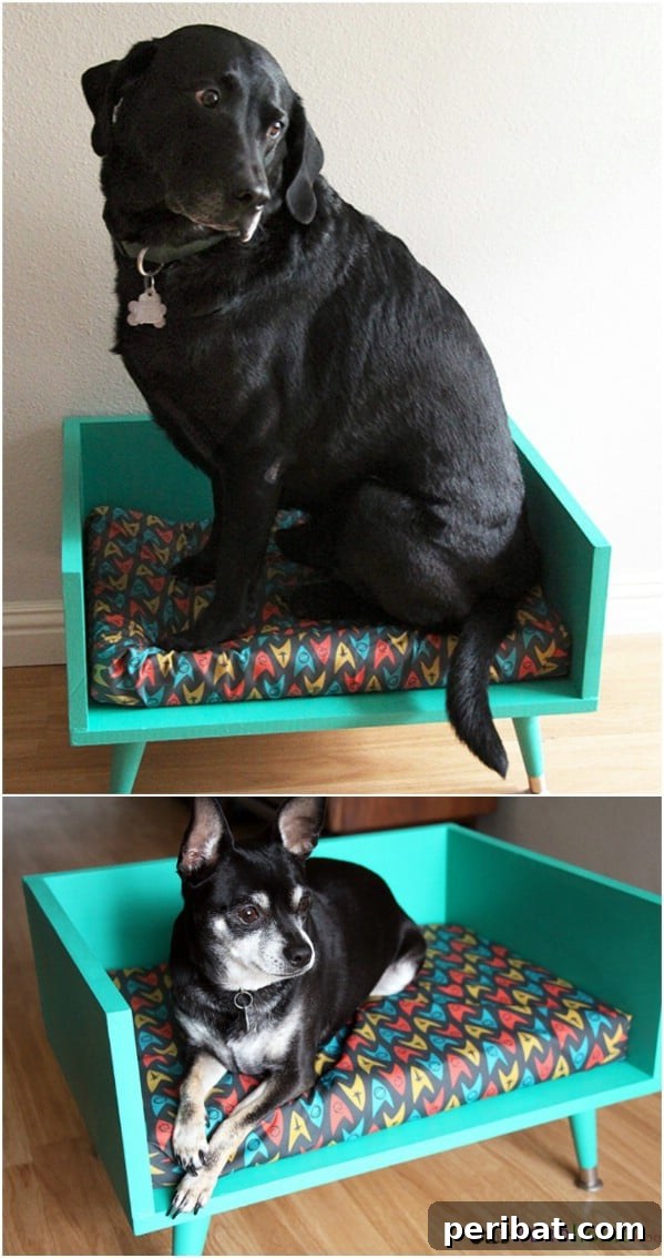 Pawsome Projects: DIY Dog Beds & Crates Your Pup Will Adore 8 Mid Century Style Dog Bed