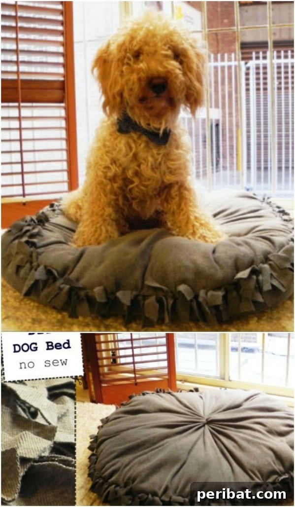 Pawsome Projects: DIY Dog Beds & Crates Your Pup Will Adore 10 No Sew DIY Dog Bed Pillow