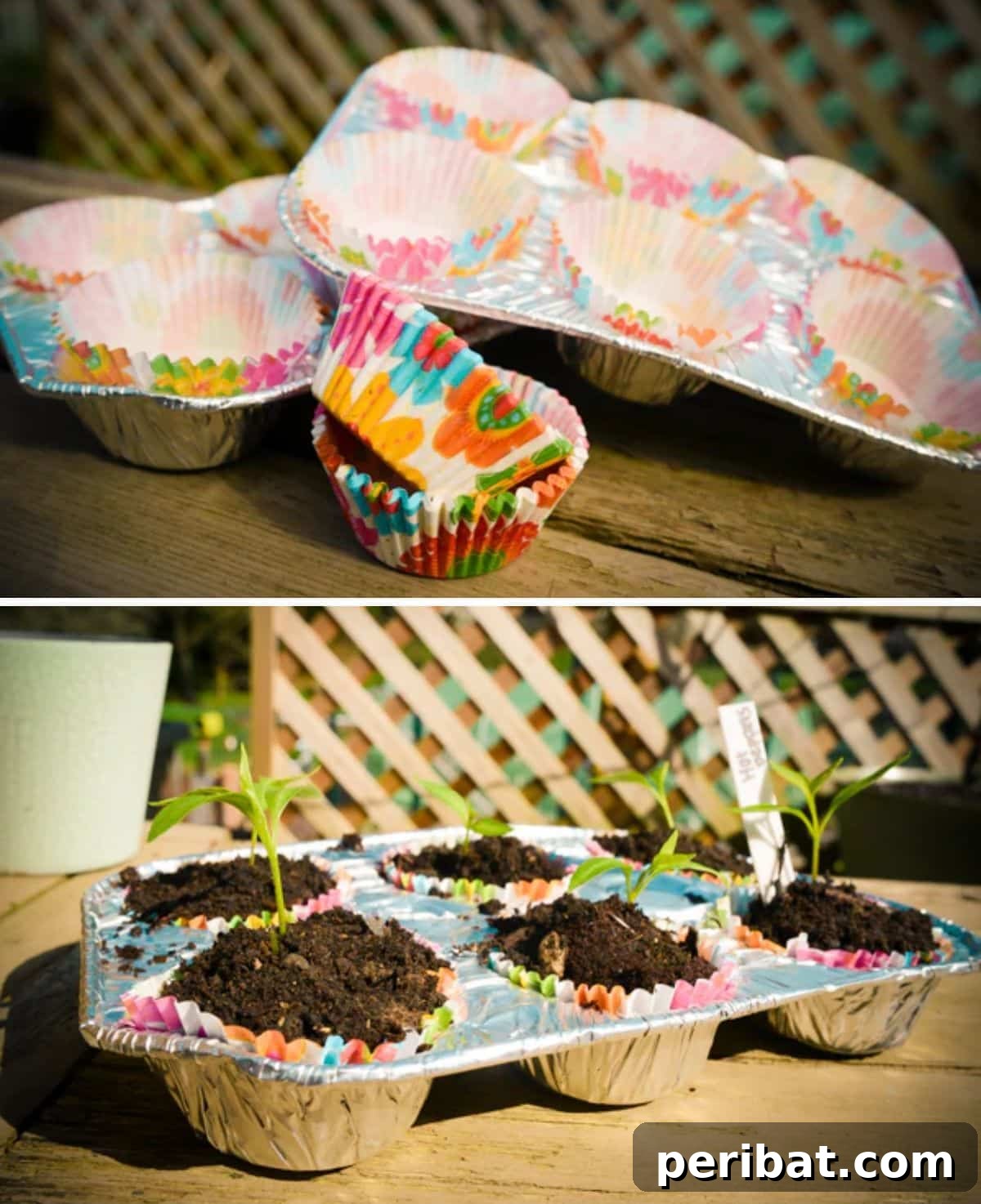 20 Creative Upcycled Seed Starter Pots to Make at Home 12 Repurposed Muffin Tin Seed Pots with Liners