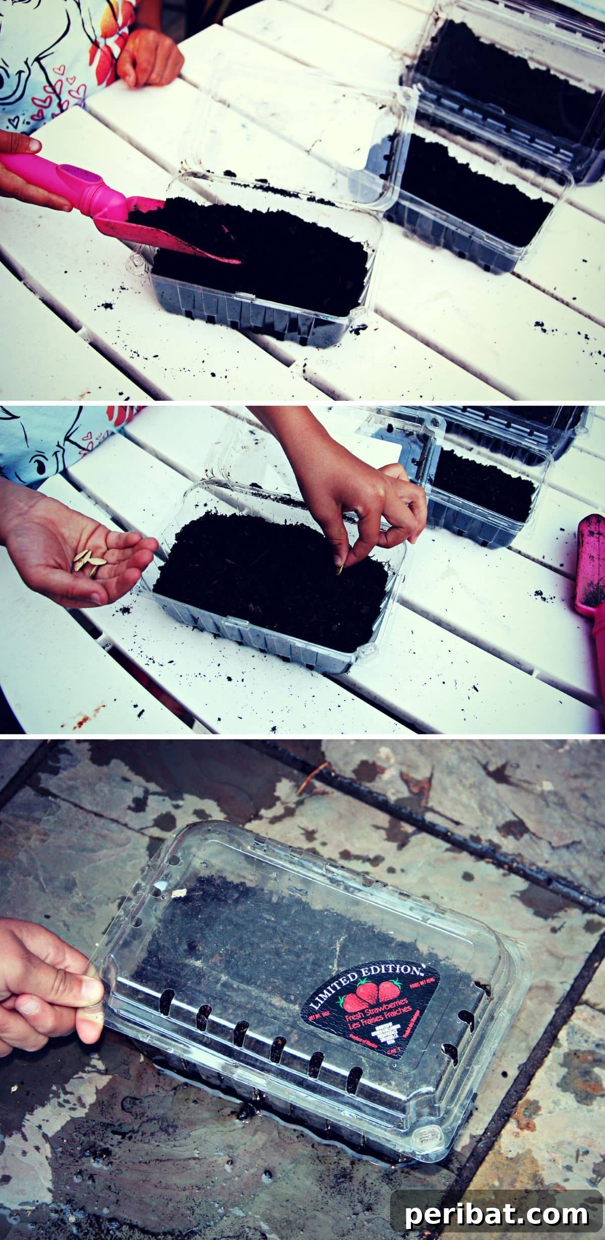 20 Creative Upcycled Seed Starter Pots to Make at Home 17 Strawberry Carton Mini Greenhouse for Seed Starting