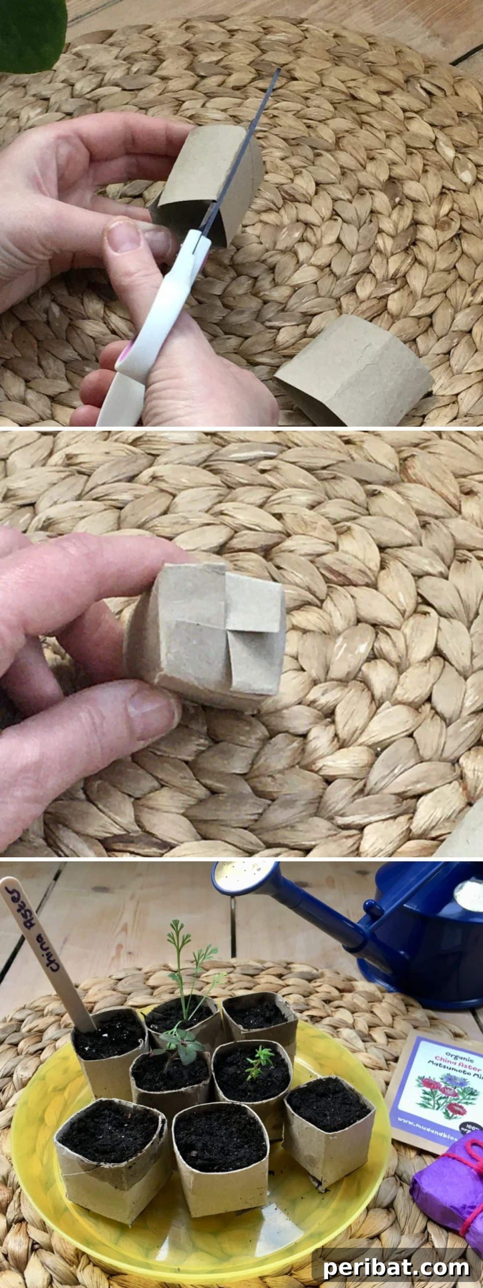 20 Creative Upcycled Seed Starter Pots to Make at Home 19 Upcycled Toilet Paper Roll Seed Pods